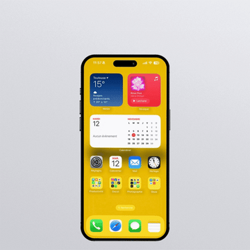 Interfaces carte Instagram